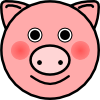 live test image